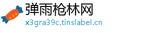 弹雨枪林网